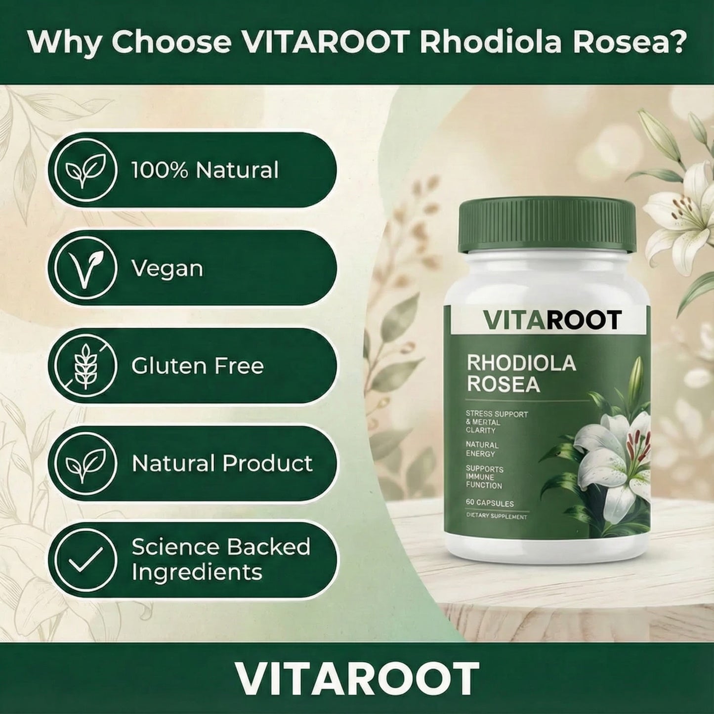 VitaRoots Rhodiola Capsules | Stress, Energy & Focus Support